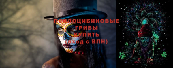 дмт Снежинск