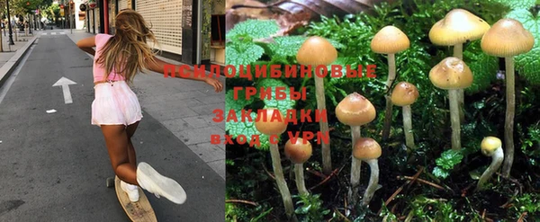 apvp Горно-Алтайск