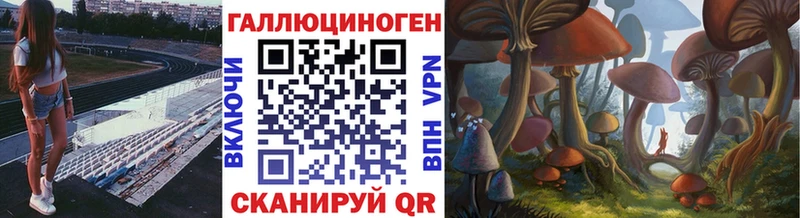 Псилоцибиновые грибы GOLDEN TEACHER  Знаменск 